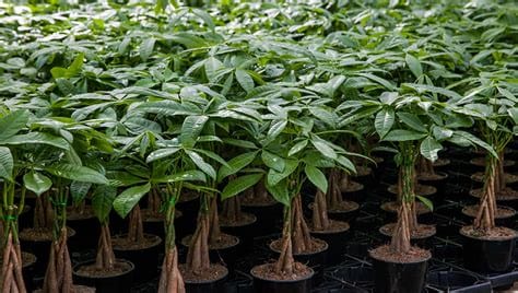 Welcome to The Financial Healing Project